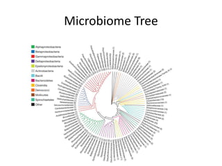 Microbiome Tree
 