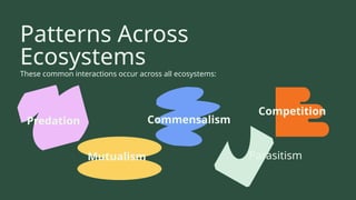Design Patterns Ecosystem Predicting Patterns in Ecosystems - Ecological Relationships.pptx