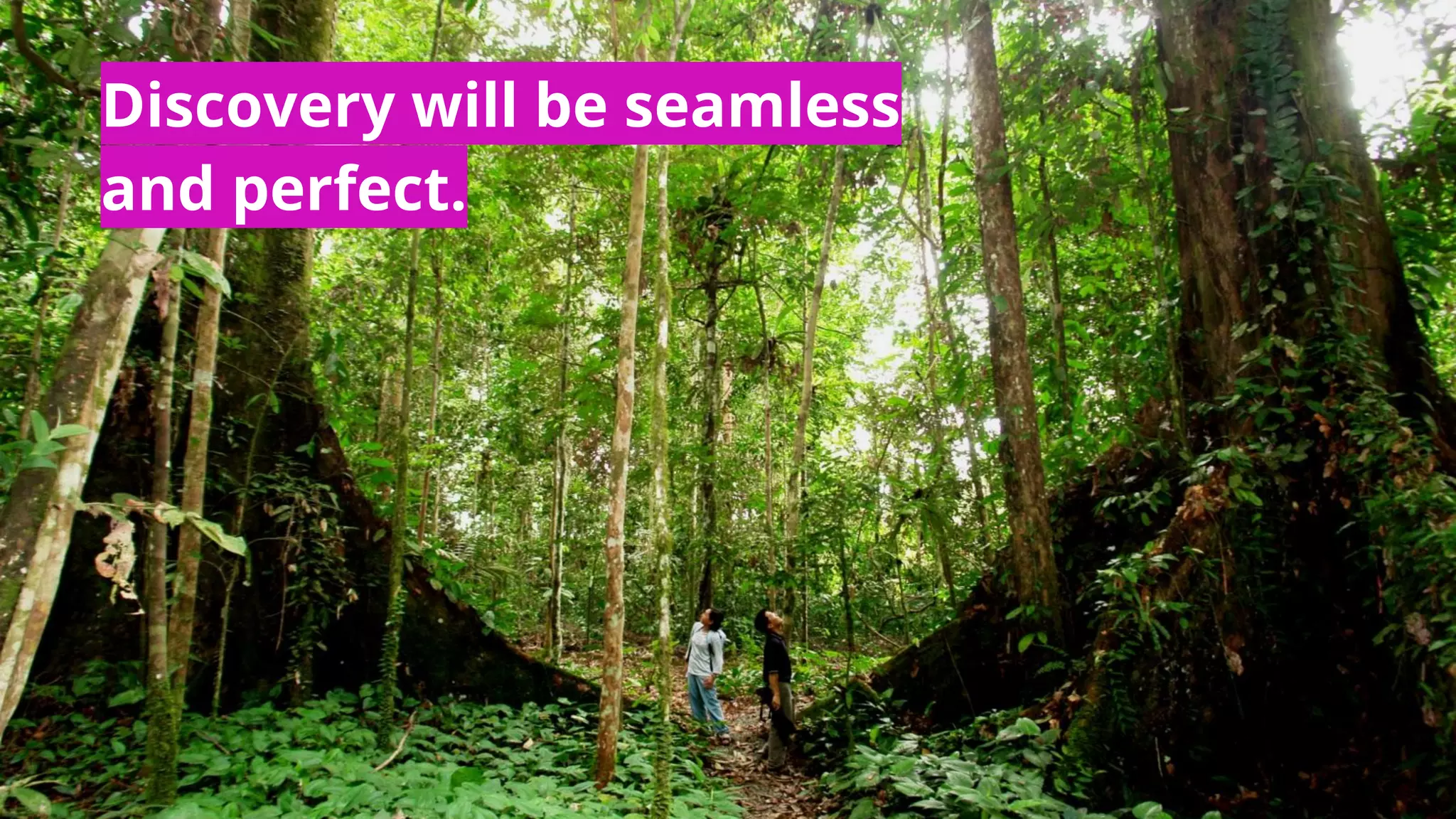 Discovery will be seamless
and perfect.
 