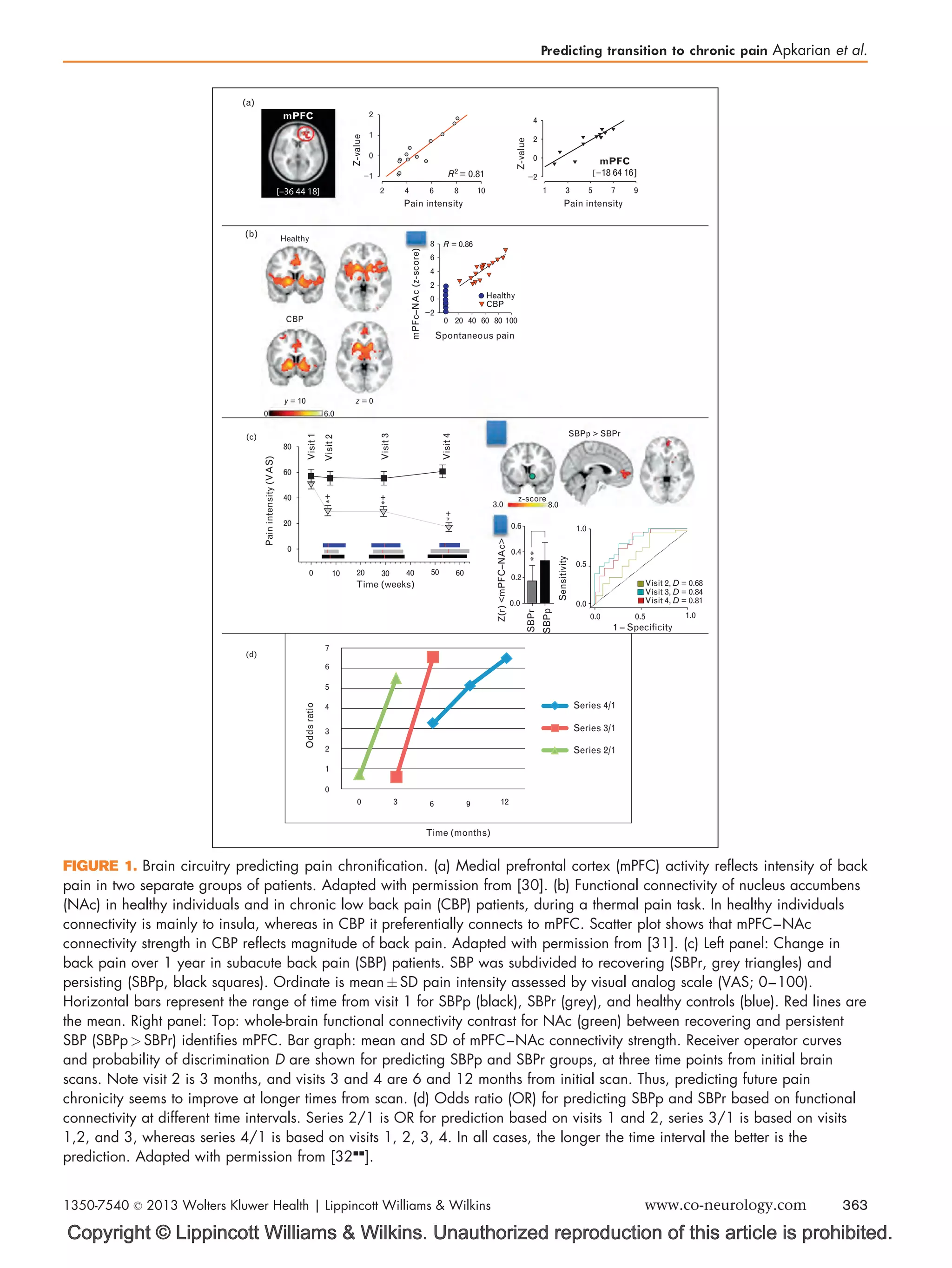 Copyright © Lippincott Williams  Wilkins. Unauthorized reproduction of this article is prohibited.
Z-value
Pain intensity
mPFC
[–36 44 18]
Spontaneous pain
Healthy
R = 0.86
CBP
mPFc–NAc(z-score)
Painintensity(VAS)
Visit1
Visit2
Visit3
Visit4
Time (weeks)
1 – Specificity
Time (months)
Series 4/1
Series 3/1
Series 2/1
2
−1
0
1
2
(a)
(b)
(c)
(d)
Healthy
CBP
y = 10
6.00
z = 0
−2
−2
0
0 10 20 30 40
3.0 8.0
z-score
SBPp  SBPr
50 60
0.0
7
6
5
4
3
2
1
0
0 3 6 9 12
0.0
0.0
1.0
1.0
0.5
0.5
Visit 2, D = 0.68
Visit 3, D = 0.84
Visit 4, D = 0.81
SBPr
Z(r)mPFC–NAc
Oddsratio
Sensitivity
SBPp
0.2
0.6
0.4
20
*
+
*
+
*
*
*
+
40
60
80
0 20 40 60 80 100
0
2
4
6
8
0
2
4
4 6 8 10 1 3 5 7 9
R2 = 0.81
mPFC
[−18 64 16]
Pain intensity
Z-value
FIGURE 1. Brain circuitry predicting pain chronification. (a) Medial prefrontal cortex (mPFC) activity reflects intensity of back
pain in two separate groups of patients. Adapted with permission from [30]. (b) Functional connectivity of nucleus accumbens
(NAc) in healthy individuals and in chronic low back pain (CBP) patients, during a thermal pain task. In healthy individuals
connectivity is mainly to insula, whereas in CBP it preferentially connects to mPFC. Scatter plot shows that mPFC–NAc
connectivity strength in CBP reflects magnitude of back pain. Adapted with permission from [31]. (c) Left panel: Change in
back pain over 1 year in subacute back pain (SBP) patients. SBP was subdivided to recovering (SBPr, grey triangles) and
persisting (SBPp, black squares). Ordinate is mean Æ SD pain intensity assessed by visual analog scale (VAS; 0–100).
Horizontal bars represent the range of time from visit 1 for SBPp (black), SBPr (grey), and healthy controls (blue). Red lines are
the mean. Right panel: Top: whole-brain functional connectivity contrast for NAc (green) between recovering and persistent
SBP (SBPp  SBPr) identifies mPFC. Bar graph: mean and SD of mPFC–NAc connectivity strength. Receiver operator curves
and probability of discrimination D are shown for predicting SBPp and SBPr groups, at three time points from initial brain
scans. Note visit 2 is 3 months, and visits 3 and 4 are 6 and 12 months from initial scan. Thus, predicting future pain
chronicity seems to improve at longer times from scan. (d) Odds ratio (OR) for predicting SBPp and SBPr based on functional
connectivity at different time intervals. Series 2/1 is OR for prediction based on visits 1 and 2, series 3/1 is based on visits
1,2, and 3, whereas series 4/1 is based on visits 1, 2, 3, 4. In all cases, the longer the time interval the better is the
prediction. Adapted with permission from [32
].
Predicting transition to chronic pain Apkarian et al.
1350-7540 ß 2013 Wolters Kluwer Health | Lippincott Williams  Wilkins www.co-neurology.com 363
 
