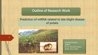 Prediction of miRNA related to late blight disease
of potato
1
Animesh kumar
20406
M. Sc. Bioinformatics
IASRI, New Delhi
 
