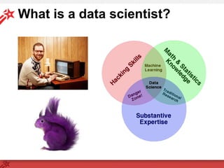 What is a data scientist?
 