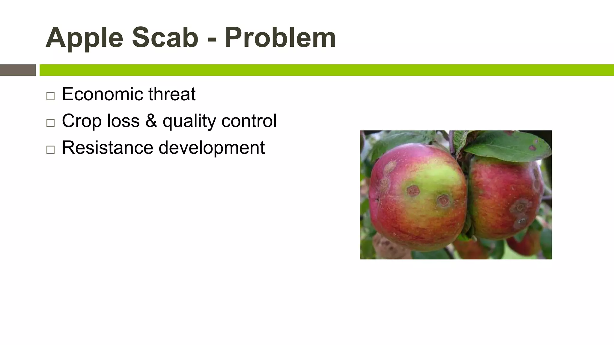 Apple Scab - Problem





Economic threat
Crop loss & quality control
Resistance development

 