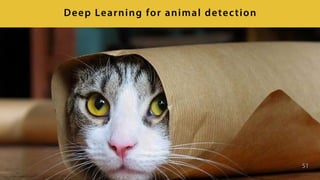 51
Deep Learning for animal detection
 