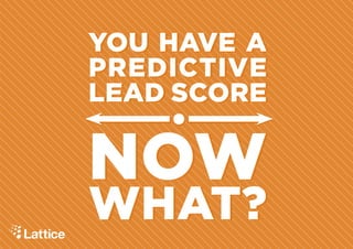YOU HAVE A 
PREDICTIVE 
LEAD SCORE 
NOW 
WHAT? 
 
