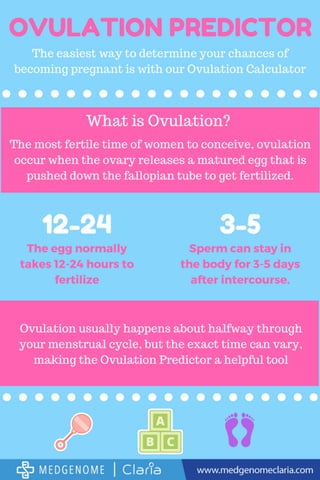 Ovulation Predictor