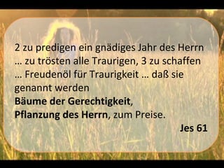 2 zu predigen ein gnädiges Jahr des Herrn
… zu trösten alle Traurigen, 3 zu schaffen
… Freudenöl für Traurigkeit … daß sie
genannt werden
Bäume der Gerechtigkeit,
Pflanzung des Herrn, zum Preise.
                                      Jes 61
 