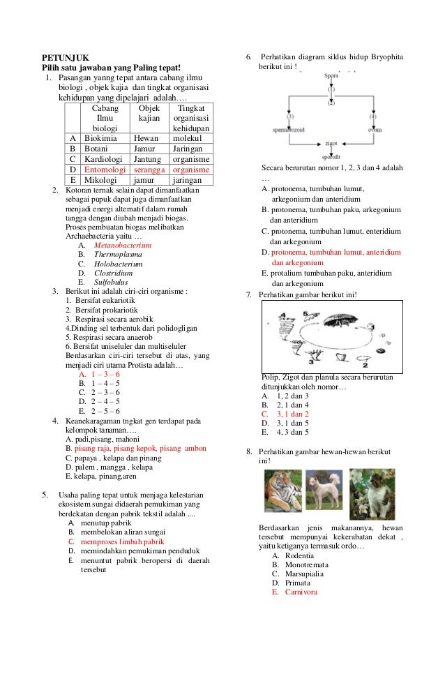 Soal Un Biologi Tentang Lumut Guru Sekolah