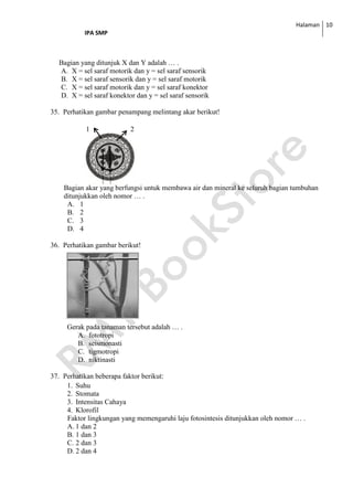 Halaman
IPA SMP
10
Bagian yang ditunjuk X dan Y adalah … .
A. X = sel saraf motorik dan y = sel saraf sensorik
B. X = sel saraf sensorik dan y = sel saraf motorik
C. X = sel saraf motorik dan y = sel saraf konektor
D. X = sel saraf konektor dan y = sel saraf sensorik
35. Perhatikan gambar penampang melintang akar berikut!
1 2
3 4
Bagian akar yang berfungsi untuk membawa air dan mineral ke seluruh bagian tumbuhan
ditunjukkan oleh nomor … .
A. 1
B. 2
C. 3
D. 4
36. Perhatikan gambar berikut!
Gerak pada tanaman tersebut adalah … .
A. fototropi
B. seismonasti
C. tigmotropi
D. niktinasti
37. Perhatikan beberapa faktor berikut:
1. Suhu
2. Stomata
3. Intensitas Cahaya
4. Klorofil
Faktor lingkungan yang memengaruhi laju fotosintesis ditunjukkan oleh nomor … .
A. 1 dan 2
B. 1 dan 3
C. 2 dan 3
D. 2 dan 4
 