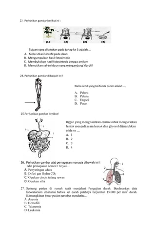 23. Perhatikan gambar berikut ini :

A.
B.
C.
D.

Tujuan yang dilakukan pada tahap ke 3 adalah ...
Melarutkan klorofil pad...