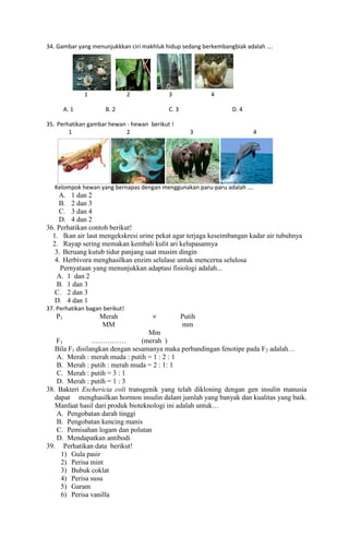 34. Gambar yang menunjukkkan ciri makhluk hidup sedang berkembangbiak adalah ….
A

C

1
A. 1

2

3

B. 2

4

C. 3

35. Per...