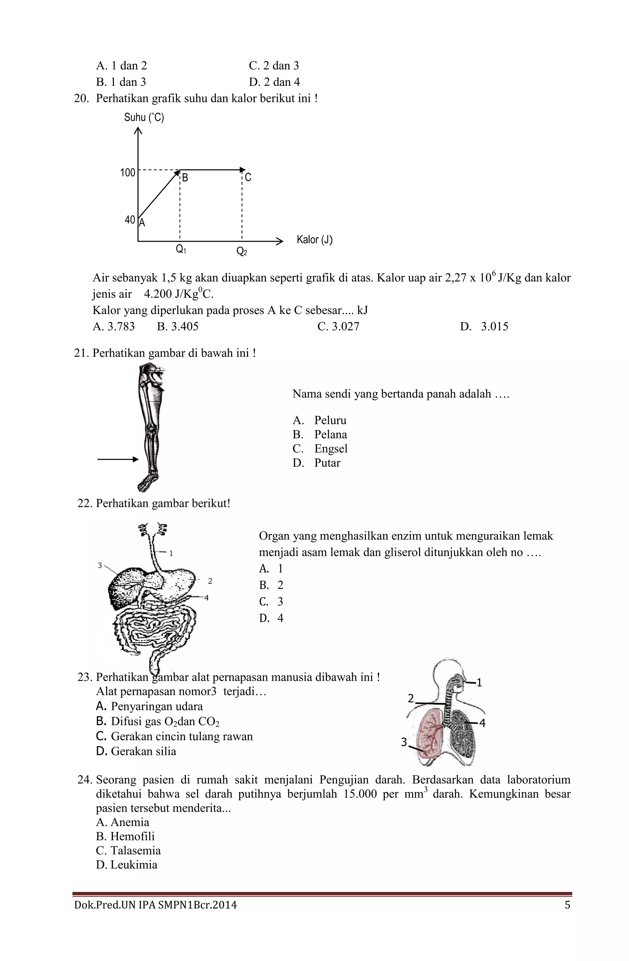 A. 1 dan 2
C. 2 dan 3
B. 1 dan 3
D. 2 dan 4
20. Perhatikan grafik suhu dan kalor berikut ini !
Suhu (°C)

100

C

B

40 A
Q1

Q2

Kalor (J)

Air sebanyak 1,5 kg akan diuapkan seperti grafik di atas. Kalor uap air 2,27 x 106 J/Kg dan kalor
jenis air 4.200 J/Kg0C.
Kalor yang diperlukan pada proses A ke C sebesar.... kJ
A. 3.783
B. 3.405
C. 3.027
D. 3.015
21. Perhatikan gambar di bawah ini !
Nama sendi yang bertanda panah adalah ….
A.
B.
C.
D.

Peluru
Pelana
Engsel
Putar

22. Perhatikan gambar berikut!
Organ yang menghasilkan enzim untuk menguraikan lemak
menjadi asam lemak dan gliserol ditunjukkan oleh no ….
A. 1
B. 2
C. 3
D. 4

23. Perhatikan gambar alat pernapasan manusia dibawah ini !
Alat pernapasan nomor3 terjadi…
A. Penyaringan udara
B. Difusi gas O2dan CO2
C. Gerakan cincin tulang rawan
D. Gerakan silia

1
2
4
3

24. Seorang pasien di rumah sakit menjalani Pengujian darah. Berdasarkan data laboratorium
diketahui bahwa sel darah putihnya berjumlah 15.000 per mm3 darah. Kemungkinan besar
pasien tersebut menderita...
A. Anemia
B. Hemofili
C. Talasemia
D. Leukimia
Dok.Pred.UN IPA SMPN1Bcr.2014

5

 