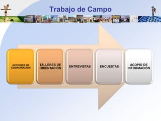 Trabajo de Campo