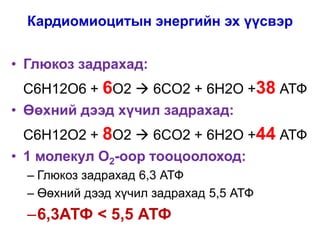 Predizin (1) | PPTX