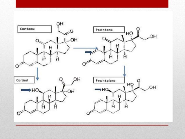 Gabapentin before bed