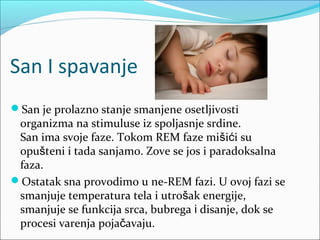 San I spavanje
San je prolazno stanje smanjene osetljivosti

organizma na stimuluse iz spoljasnje srdine.
San ima svoje faze. Tokom REM faze mišići su
opušteni i tada sanjamo. Zove se jos i paradoksalna
faza.
Ostatak sna provodimo u ne-REM fazi. U ovoj fazi se
smanjuje temperatura tela i utrošak energije,
smanjuje se funkcija srca, bubrega i disanje, dok se
procesi varenja pojačavaju.

 