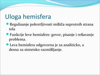 Uloga hemisfera
Regulisanje pokretljivosti mišića suprotnih strana

tela
Funkcije leve hemisfere: govor, pisanje i rešavanje
problema.
Leva hemisfera odgovorna je za analiticko, a
desna za sintetsko razmišljanje.

 