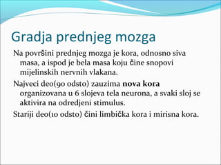 Gradja prednjeg mozga
Na površini prednjeg mozga je kora, odnosno siva
masa, a ispod je bela masa koju čine snopovi
mijelinskih nervnih vlakana.
Najveci deo(90 odsto) zauzima nova kora
organizovana u 6 slojeva tela neurona, a svaki sloj se
aktivira na odredjeni stimulus.
Stariji deo(10 odsto) čini limbička kora i mirisna kora.

 