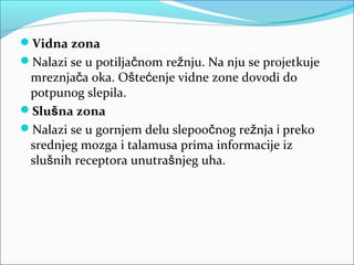 Vidna zona
Nalazi se u potiljačnom režnju. Na nju se projetkuje

mreznjača oka. Oštećenje vidne zone dovodi do
potpunog slepila.
Slušna zona
Nalazi se u gornjem delu slepoočnog režnja i preko
srednjeg mozga i talamusa prima informacije iz
slušnih receptora unutrašnjeg uha.

 