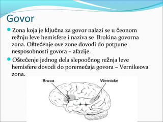 Govor
Zona koja je ključna za govor nalazi se u čeonom

režnju leve hemisfere i naziva se Brokina govorna
zona. Oštećenje ove zone dovodi do potpune
nesposobnosti govora – afazije.
Oštećenje jednog dela slepoočnog režnja leve
hemisfere dovodi do poremećaja govora – Vernikeova
zona.

 