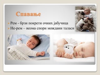 Спавање
Рем - брзи покрети очних јабучица
Не-рем – веома спори мождани таласи
 