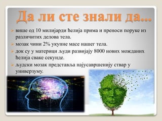Да ли сте знали да...
 више од 10 милијарди ћелија прима и преноси поруке из
различитих делова тела.
 мозак чини 2% укупне масе нашег тела.
 док су у материци људи развијају 8000 нових можданих
ћелија сваке секунде.
 људски мозак представља најусавршенију ствар у
универзуму.
 