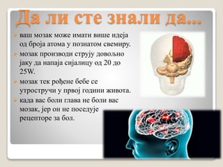 Да ли сте знали да...
 ваш мозак може имати више идеја
од броја атома у познатом свемиру.
 мозак производи струју довољно
јаку да напаја сијалицу од 20 до
25W.
 мозак тек рођене бебе се
утростручи у првој години живота.
 када вас боли глава не боли вас
мозак, јер он не поседује
рецепторе за бол.
 