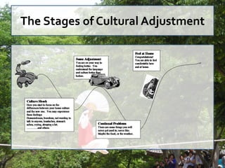 The Stages of Cultural Adjustment
 