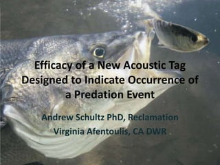 Efficacy of a New Acoustic Tag
Designed to Indicate Occurrence of
a Predation Event
Andrew Schultz PhD, Reclamation
Virginia Afentoulis, CA DWR
 