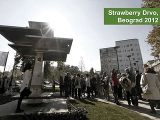 Strawberry Drvo,
Beograd 2012
 