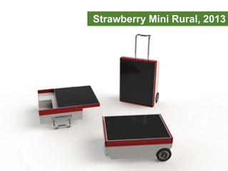 Strawberry Mini Rural, 2013
 