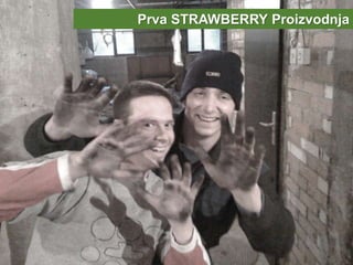 40
Prva STRAWBERRY Proizvodnja
 