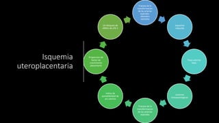 Isquemia
uteroplacentaria
Fracaso de la
transformacion
de las arterias
espirales-
diametro
estrecho
Isquemia
inducida
Flujo uterino
bajo
Lesiones
histopatologicas
Fracaso de la
transformacion
de las arterias
espirales
Indice de
pulsatibilidad de
art uterina
Proporcion de
factor de
crecimiento
placentario
Un bloqueo de
ARNm de sFlt-1
 