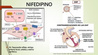NIFEDIPINO
 EA: Taquicardia refleja, vértigo,
eritema facial, cefalea y edema
periférico.
Elsevier Saunders. 6ta edición. 2004. Fármacos para el corazón.
 