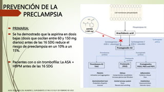 PREVENCIÓN DE LA
PRECLAMPSIA
 PRIMARIA:
 Se ha demostrado que la aspirina en dosis
bajas (dosis que oscilan entre 60 y 150 mg
diarios) antes de las 16 SDG reduce el
riesgo de preeclampsia en un 10% a un
15%.
 Pacientes con o sin trombofilia: La ASA +
HBPM antes de las 16 SDG
AJOG VOLUMEN 226, NUMERO 2, SUPLEMENTO S1196-S1210,01 DE FEBRERO DE 2022
 