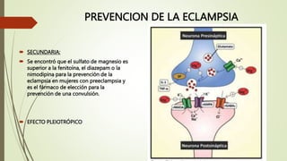 PREVENCION DE LA ECLAMPSIA
 SECUNDARIA:
 Se encontró que el sulfato de magnesio es
superior a la fenitoína, el diazepam o la
nimodipina para la prevención de la
eclampsia en mujeres con preeclampsia y
es el fármaco de elección para la
prevención de una convulsión.
 EFECTO PLEIOTRÓPICO
 
