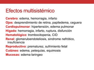 Efectos multisistémicoCerebro: edema, hemorragia, infartoOjos: desprendimiento de retina, papiledema, cegueraCardiopulmonar: hipertensión, edema pulmonarHígado: hemorragia, infarto, ruptura, disfunciónHematológico: trombocitopenia, CIDRenal: glomeruloendoteliosis, sindrome nefrótico, insuficiencia Reproductivo:prematurez, sufrimiento fetalCutáneo: edema, petequias, equimosisMucosas:edema laringeo