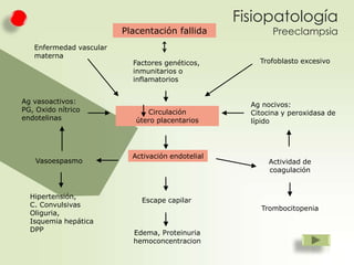 Fisiopatología
Placentación fallida
Enfermedad vascular
materna

Ag vasoactivos:
PG, Oxido nítrico
endotelinas

Vasoespasmo

Hipertensión,
C. Convulsivas
Oliguria,
Isquemia hepática
DPP

Factores genéticos,
inmunitarios o
inflamatorios

Circulación
útero placentarios

Activación endotelial

Escape capilar

Edema, Proteinuria
hemoconcentracion

Preeclampsia

Trofoblasto excesivo

Ag nocivos:
Citocina y peroxidasa de
lípido

Actividad de
coagulación

Trombocitopenia

 