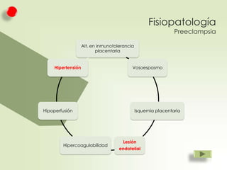 Fisiopatología
Preeclampsia

Alt. en inmunotolerancia
placentaria

Hipertensión

Hipoperfusión

Hipercoagulabilidad

Vasoespasmo

Isquemia placentaria

Lesión
endotelial

 