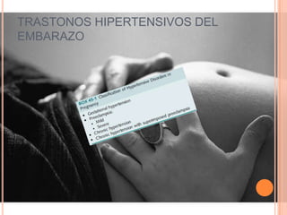 TRASTONOS HIPERTENSIVOS DEL
EMBARAZO
 