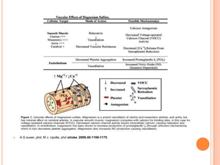    A G euser, phd; M J. cipolla, phd stroke. 2009;40:1169-1175
 