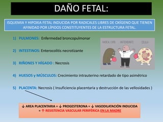 DAÑO FETAL:
1) PULMONES: Enfermedad broncopulmonar
2) INTESTINOS: Enterocolitis necrotizante
3) RIÑONES Y HÍGADO : Necrosis
4) HUESOS y MÚSCULOS: Crecimiento intrauterino retardado de tipo asimétrico
5) PLACENTA: Necrosis ( Insuficiencia placentaria y destrucción de las vellosidades )
ISQUEMIA Y HIPOXIA FETAL INDUCIDA POR RADICALES LIBRES DE OXÍGENO QUE TIENEN
AFINIDAD POR LÍPIDOS CONSTITUYENTES DE LA ESTRUCTURA FETAL.
↓ AREA PLACENTARIA = ↓ PROGESTERONA = ↓ VASODILATACIÓN INDUCIDA
= ↑ RESISTENCIA VASCULAR PERIFÉRICA EN LA MADRE
 