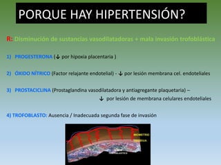 PORQUE HAY HIPERTENSIÓN?
R: Disminución de sustancias vasodilatadoras + mala invasión trofoblástica
1) PROGESTERONA (↓ por hipoxia placentaria )
2) ÓXIDO NÍTRICO (Factor relajante endotelial) - ↓ por lesión membrana cel. endoteliales
3) PROSTACICLINA (Prostaglandina vasodilatadora y antiagregante plaquetaria) –
↓ por lesión de membrana celulares endoteliales
4) TROFOBLASTO: Ausencia / Inadecuada segunda fase de invasión
 
