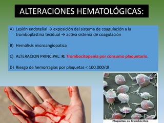 ALTERACIONES HEMATOLÓGICAS:
A) Lesión endotelial → exposición del sistema de coagulación a la
tromboplastina tecidual → activa sistema de coagulación
B) Hemólisis microangiopatica
C) ALTERACION PRINCIPAL: R: Trombocitopenia por consumo plaquetario.
D) Riesgo de hemorragias por plaquetas < 100.000/dl
 