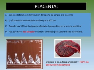 PLACENTA:
A) Daño endotelial con disminución del aporte de sangre a la placenta
B) ↓ Ø arteriolas miometriales de 500 μm a 200 μm
C) Cuando hay 50% de la placenta afectada; hay cambios en la arteria umbilical
D) Hay que hacer Eco Doppler de arteria umbilical para valorar daño placentario.
Diástole 0 en arteria umbilical = +90% de
destrucción placentaria
 