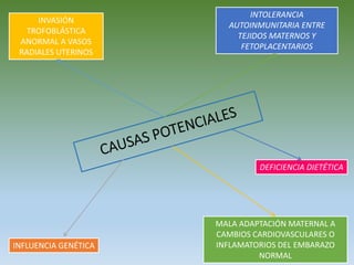 INFLUENCIA GENÉTICA
DEFICIENCIA DIETÉTICA
MALA ADAPTACIÓN MATERNAL A
CAMBIOS CARDIOVASCULARES O
INFLAMATORIOS DEL EMBARAZO
NORMAL
INTOLERANCIA
AUTOINMUNITARIA ENTRE
TEJIDOS MATERNOS Y
FETOPLACENTARIOS
INVASIÓN
TROFOBLÁSTICA
ANORMAL A VASOS
RADIALES UTERINOS
 