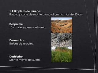 1.1 Limpieza de terreno.
Basura y corte de monte a una altura no mas de 50 cm.
Despalme.
10 cm de espesor del suelo.

Desenraice.
Raíces de arboles.

Deshierbe.
Monte mayor de 50cm.

 