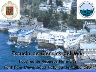 Escuela de Ciencias del Mar   Facultad de Recursos Naturales   Pontificia Universidad Católica de Valparaíso 