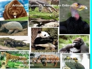 Articulo de Opinion – Animales en Extincion




    Algo que no se puede permitir es
    que nuestra naturaleza sufra, en
    especial si se meten con nuestros
    animales.
 