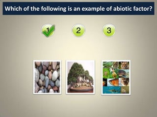 Which of the following is an example of abiotic factor?
 